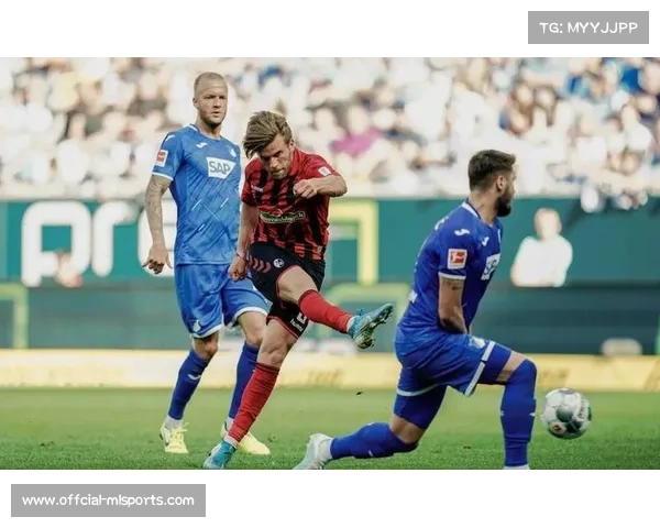 霍芬海姆阿斯拉尼5球，成球队头号得分手